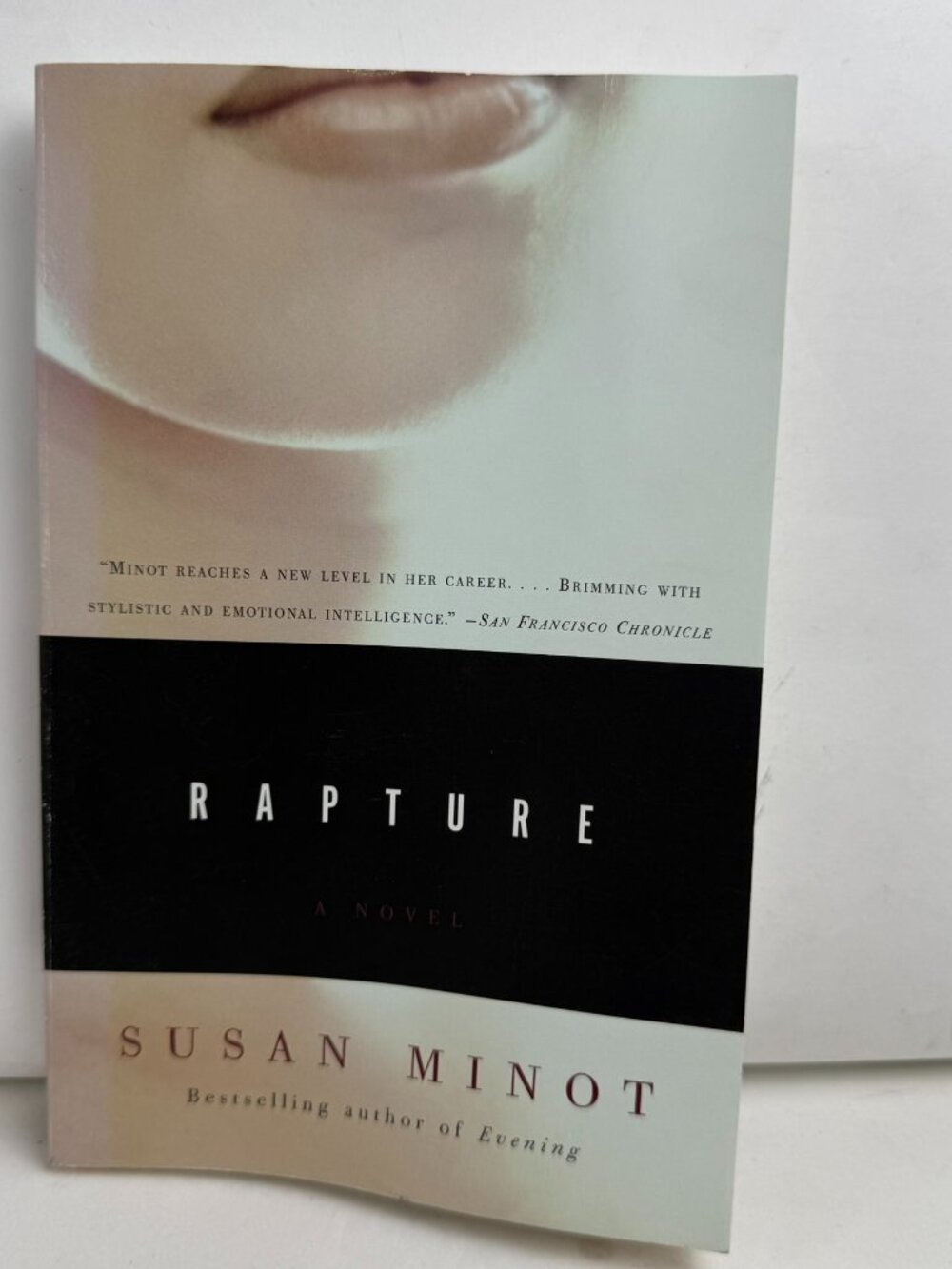 Rapture by Susan Minot Paperback Novel Vintage Books ISBN 0375727884 Fiction